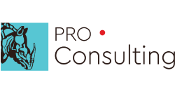 Pro-Consulting